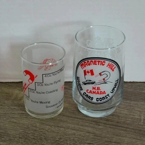 Vtg Magnetic Hill Souvenir  Glasses - Picture 1 of 8